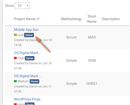 Role in Project