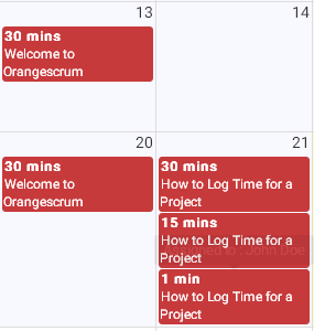 Date wise time log entries