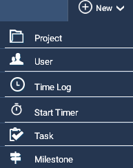 Plus new time log button