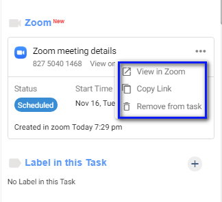 View Zoom Meeting Details